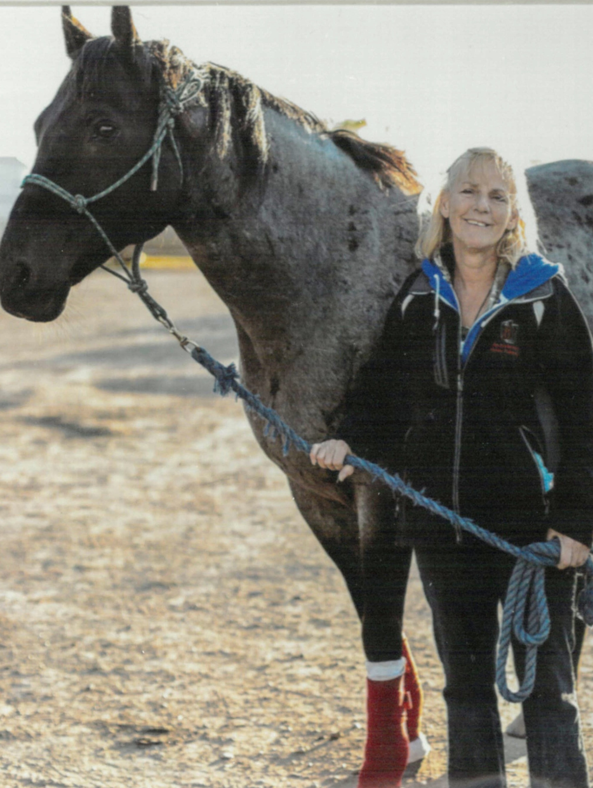 Vivian Carol Stewart